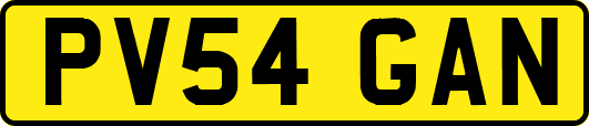 PV54GAN