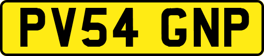 PV54GNP