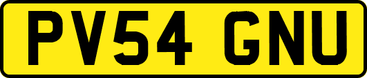 PV54GNU