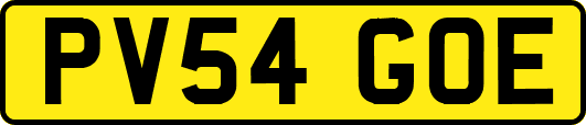 PV54GOE