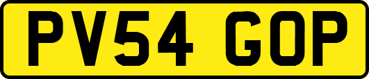 PV54GOP