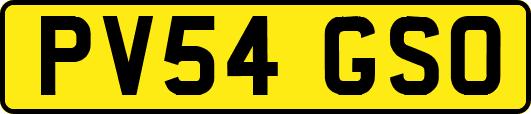 PV54GSO