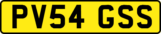 PV54GSS
