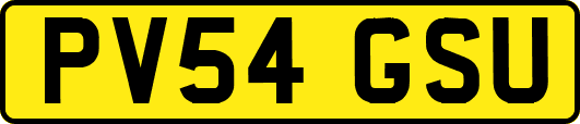 PV54GSU