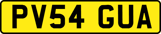PV54GUA
