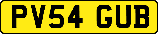 PV54GUB