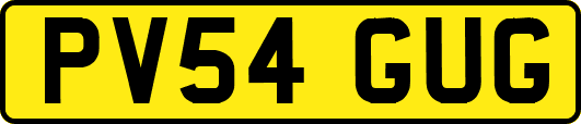 PV54GUG