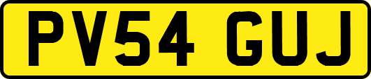 PV54GUJ