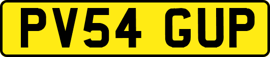 PV54GUP