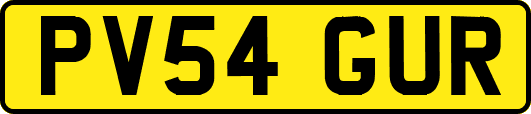 PV54GUR