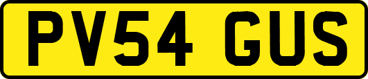 PV54GUS