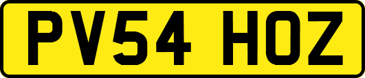 PV54HOZ