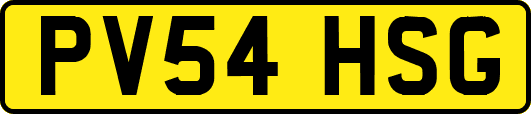 PV54HSG