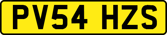 PV54HZS