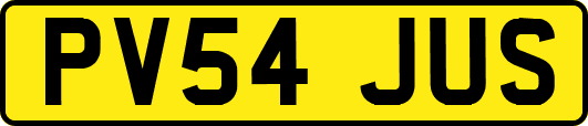 PV54JUS