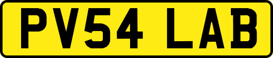 PV54LAB