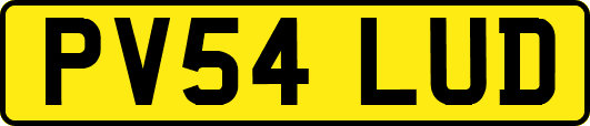 PV54LUD