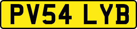PV54LYB