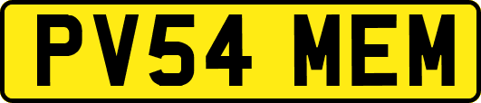 PV54MEM