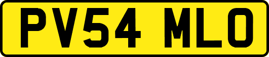 PV54MLO