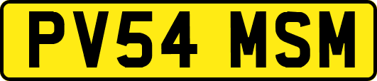 PV54MSM
