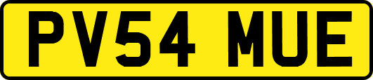 PV54MUE