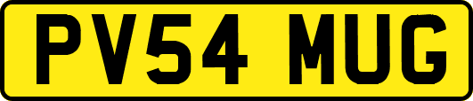 PV54MUG