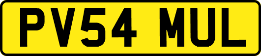 PV54MUL
