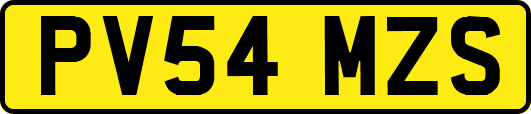 PV54MZS