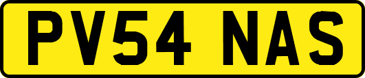 PV54NAS
