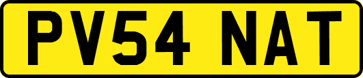 PV54NAT