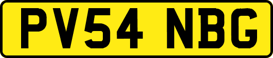 PV54NBG