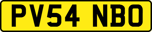 PV54NBO