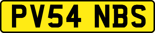 PV54NBS