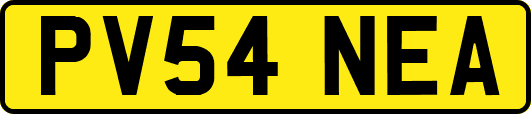PV54NEA