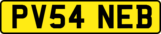 PV54NEB
