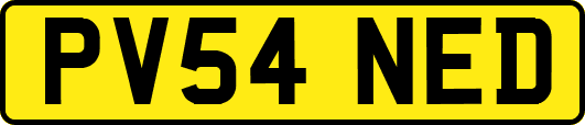 PV54NED