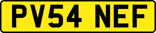 PV54NEF