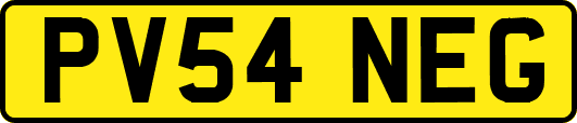 PV54NEG