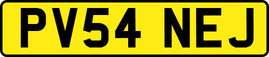 PV54NEJ