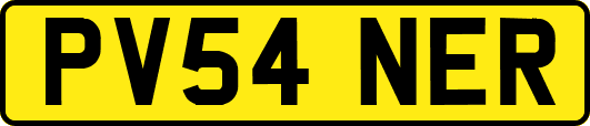 PV54NER