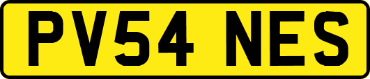 PV54NES