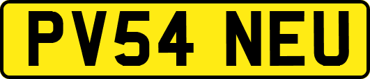 PV54NEU