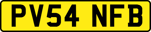 PV54NFB