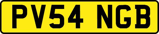 PV54NGB