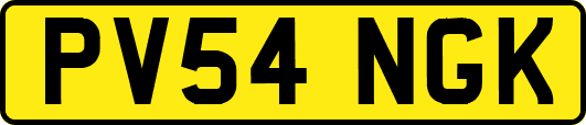 PV54NGK