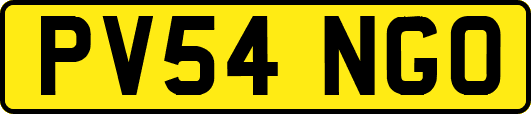 PV54NGO