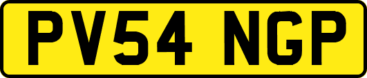 PV54NGP