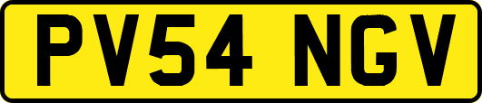 PV54NGV