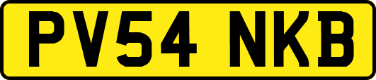 PV54NKB